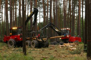 Nowy termin targów Elmia-Wood