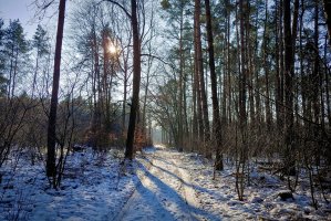 Jest nowy projekt ustawy o działach administracji rządowej