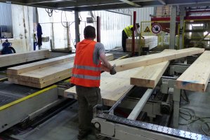 Niemiecki rząd wspiera przemysł drzewny