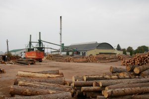 Biała Księga Rozwoju Przemysłu - Przemysł Drzewny