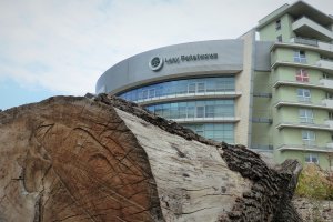 Zmiany kadrowe w Dyrekcji Generalnej Lasów Państwowych