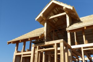 Domy drewniane mogą w przyszłości stanowić w Polsce nawet jedną piątą budynków. 