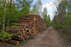 Wyniki aukcji systemowych na II półrocze 2021