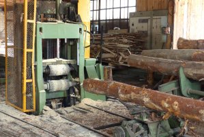 Polityka Przemysłowa Polski - Co z przemysłem drzewnym?