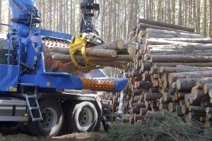 PIGPD nie chce promocji biomasy leśnej jako źródła odnawialnej energii