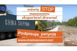 Europejscy przedsiębiorcy zbierają podpisy pod petycją o wprowadzenie zakazu eksportu drewna okrągłego