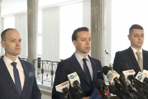 Ruch Narodowy wzywa rząd do ograniczenia eksportu drewna nieprzetworzonego