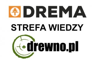 DREMA 2021: DREWNO.PL zaprasza do Strefy Wiedzy