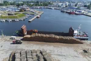 Co się dzieje z polskim drewnem?