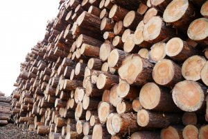 Pracownik tartaku zginął przygnieciony przez bale drewna