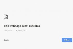 Awaria Portalu Leśno-Drzewnego - termin składania ofert wydłużony