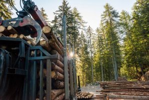 Wspólne inwestycje z DLL to coś więcej niż tylko pożyczanie pieniędzy