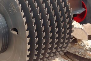 Nowe inwestycje branży drzewnej w Suwalskiej Specjalnej Strefie Ekonomicznej