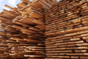 USA podwajają cło na kanadyjską tarcicę iglastą 