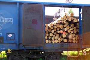 Chiny zablokowały import drewna z Litwy