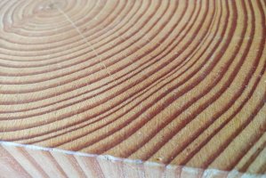 USA obniży cło na kanadyjską tarcicę?