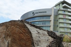 Zmiany w dziale marketingu Dyrekcji Generalnej Lasów Państwowych