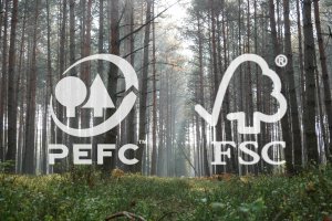 Stanowiska PEFC i FSC w sprawie drewna z Rosji i Białorusi