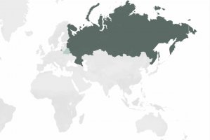 Drewno z Rosji i Białorusi bez certyfikatu FSC