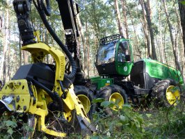 ZUL-e nie pozyskują drewna, tartakom brakuje surowca, Lasy Państwowe "dostrzegają powagę sytuacji"  