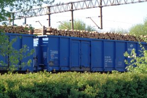 Rosja zakazuje eksportu drewna i wyrobów do "wrogich państw"