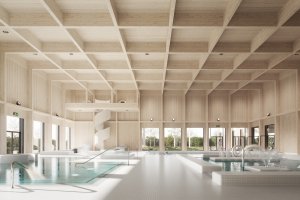 Basen w Piasecznie - w roli głównej: drewno