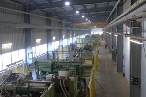 Tartak w Murowie zwiększy zatrudnienie o 80 osób