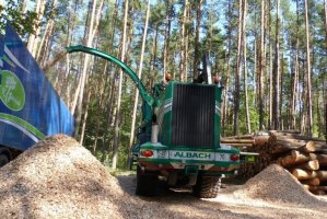 Pierwotna biomasa leśna wykorzystywana przez energetykę bez dotacji