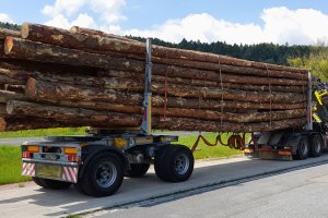 Transport drewna: 30.000 zł mandatu