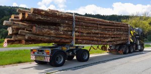 Transport drewna: 30.000 zł mandatu