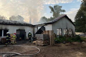 Pożar w zakładzie produkcji palet w Krężnicy Jarej