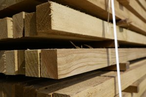 Gwałtowna zapaść produkcji drzewnej w Rosji