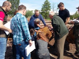 Kurs brakarzy drewna okrągłego - Październik 2022