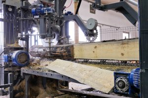 PIGPD: Przedsiębiorcy planują walkę o zmianę zasad sprzedaży drewna