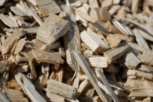 W Ełku powstaną kotłownie zasilane biomasą