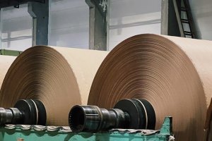 Rosyjski holding drzewny Segezha rozważa sprzedaż działających w Europie spółek zależnych