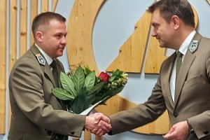 Karuzela leśnych stołków