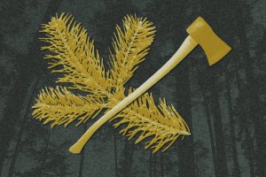 Wycinanie lasów może być proekologiczne, tylko trzeba robić to z głową