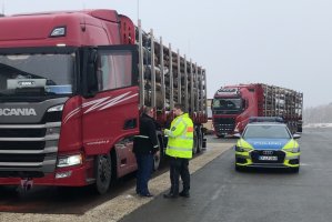 Niemcy: Przeładowane polskie ciężarówki z drewnem  