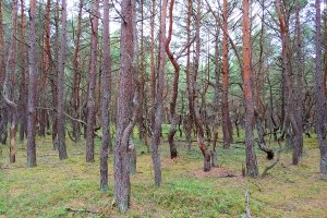 Meblarze zaniepokojeni planami Brukseli