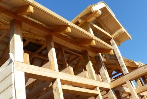 Plantwear wchodzi w sektor domów drewnianych