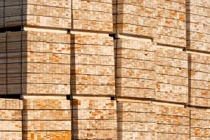 Pomimo sankcji drewno z Rosji i Białorusi wciąż trafia do Polski