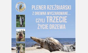 Plener Rzeźbiarski - Z drewna wyczarowane, czyli trzecie życie drzewa