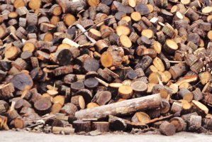 Sprzedawał drewno, którego nie miał