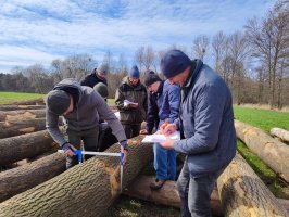 KURS BRAKARZY DREWNA OKRĄGŁEGO - Listopad 2023