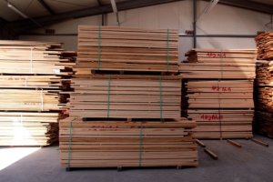 Standrew: Wyniki za trzy kwartały 2023