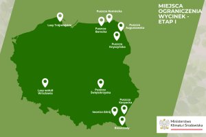 Ograniczenie wyrębu w lasach