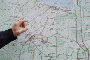 Organizacje przyrodnicze naciskają na Ministerstwo Klimatu i Środowiska w sprawie Puszczy Białowieskiej