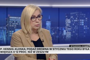 Kto kłamie w sprawie sytuacji branży drzewnej? 
