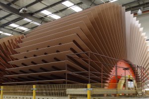 SPPD w Polsce wybrało zarząd na kadencję 2024-2027